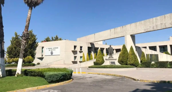 REPUVE Hidalgo