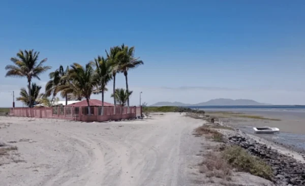 Repuve Baja California Sur